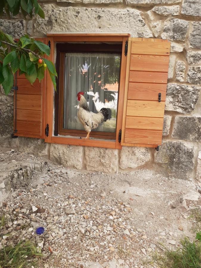 Patakun Holiday Home For 5, With Heated Pool Lecevica エクステリア 写真